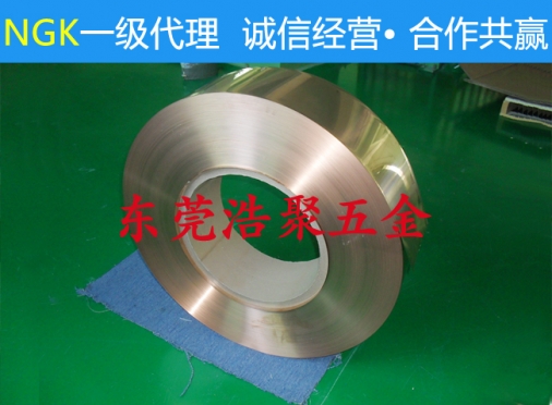 NGK進口鈹銅帶
