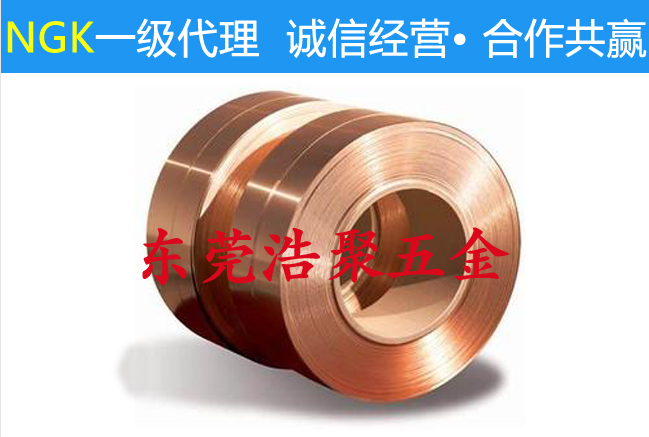 NGK鈹銅 NGK鈹銅