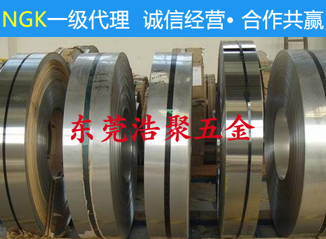 Ngk高鈹銅 Ngk高鈹銅